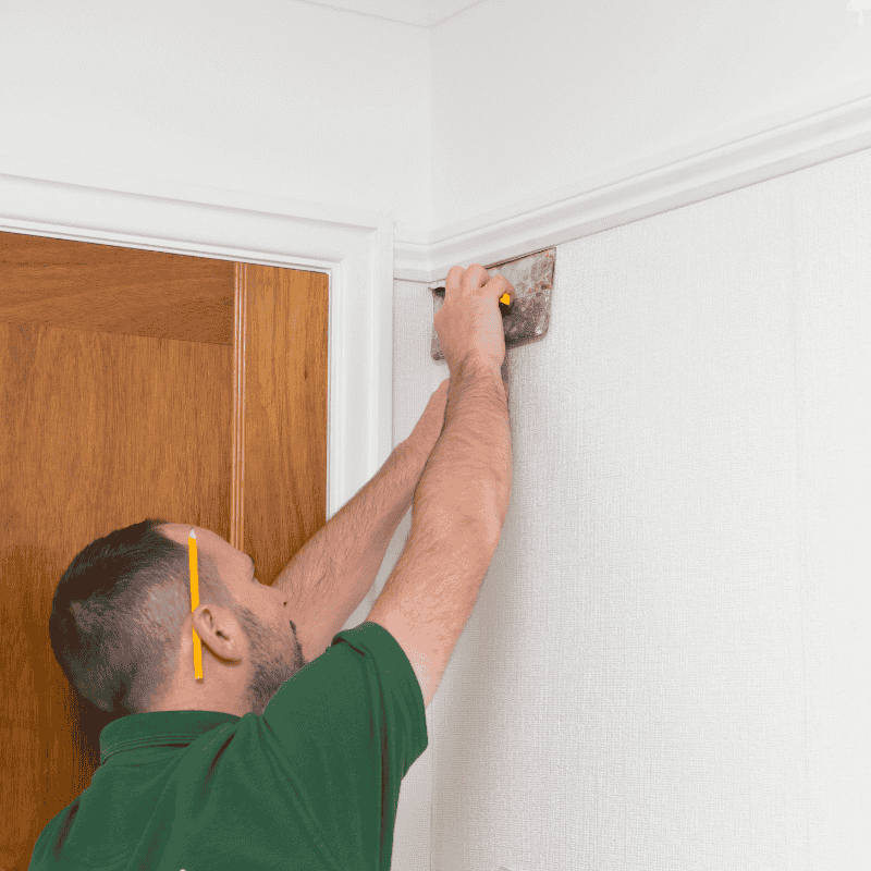 Professionelle Tapezierarbeiten vom Experten