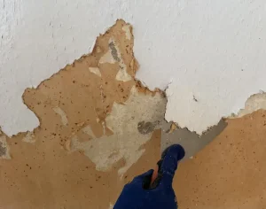 Entfernung mehrschichtiger Tapeten